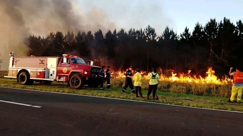 Con nuevos focos de incendios en la Provincia la lucha se hace mas intensa