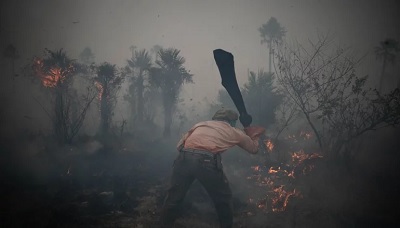 Crisis en la producción de miel: en el fuego perdieron el 80% de los panales
