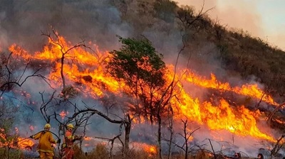 Cuatro provincias registran focos activos de incendios forestales
