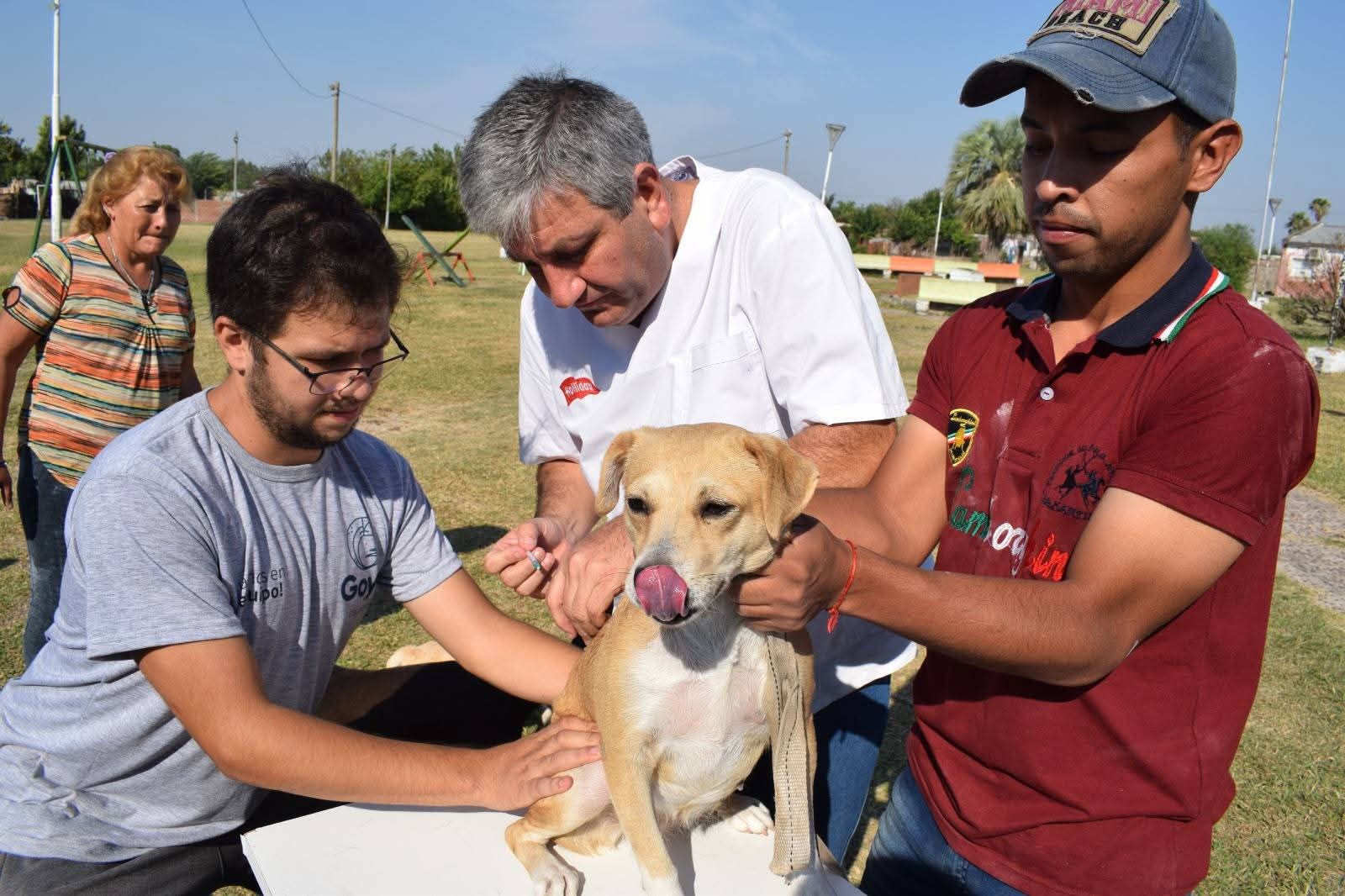 DIRECCIÓN DE BROMATOLOGÍA ORGANIZA TALLER DE MANEJO DE ALIMENTOS Y VACUNACIÓN DE MASCOTAS