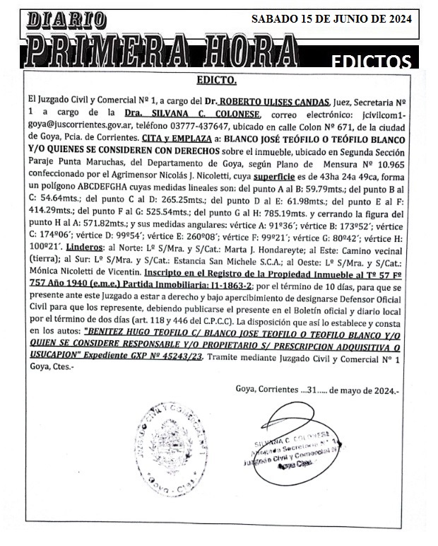 EDICTOS 15 DE JUNIO DE 2024