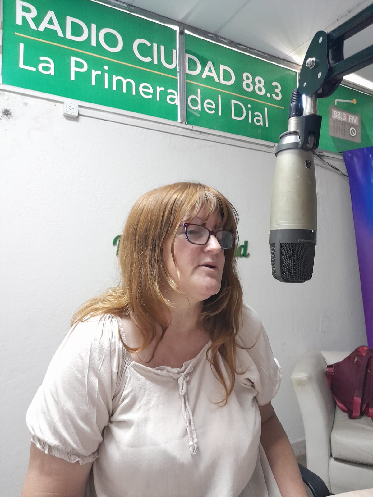 NUEVOS EMPRENDEDORES SE SUMAN A LA FERIA DE PLAZA MITRE