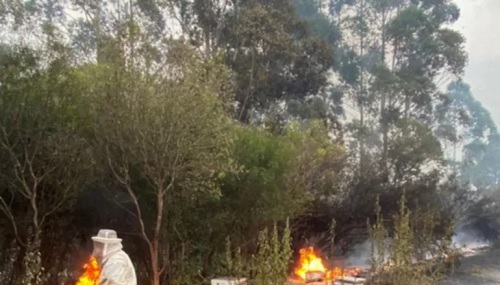 El fuego arrasó 1.000 hectáreas apícolas, aún se mantiene el alerta y preocupa el viento