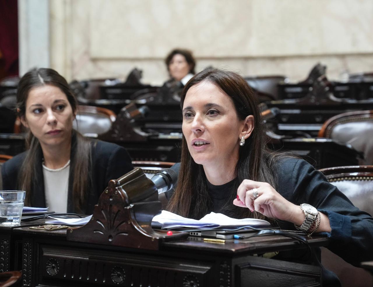 “Brambilla presentó en el Congreso la emergencia  económica y social a causa de los incendios”
