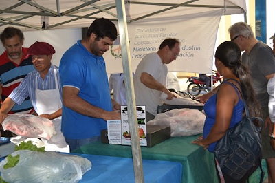 Este jueves 30 los agricultores familiares y feriantes pondrán a la venta carne de cordero