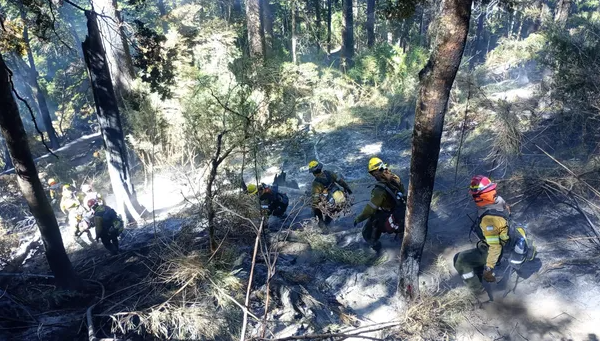 Ya se quemaron 7.000 hectáreas en medio de los incendios en Bariloche