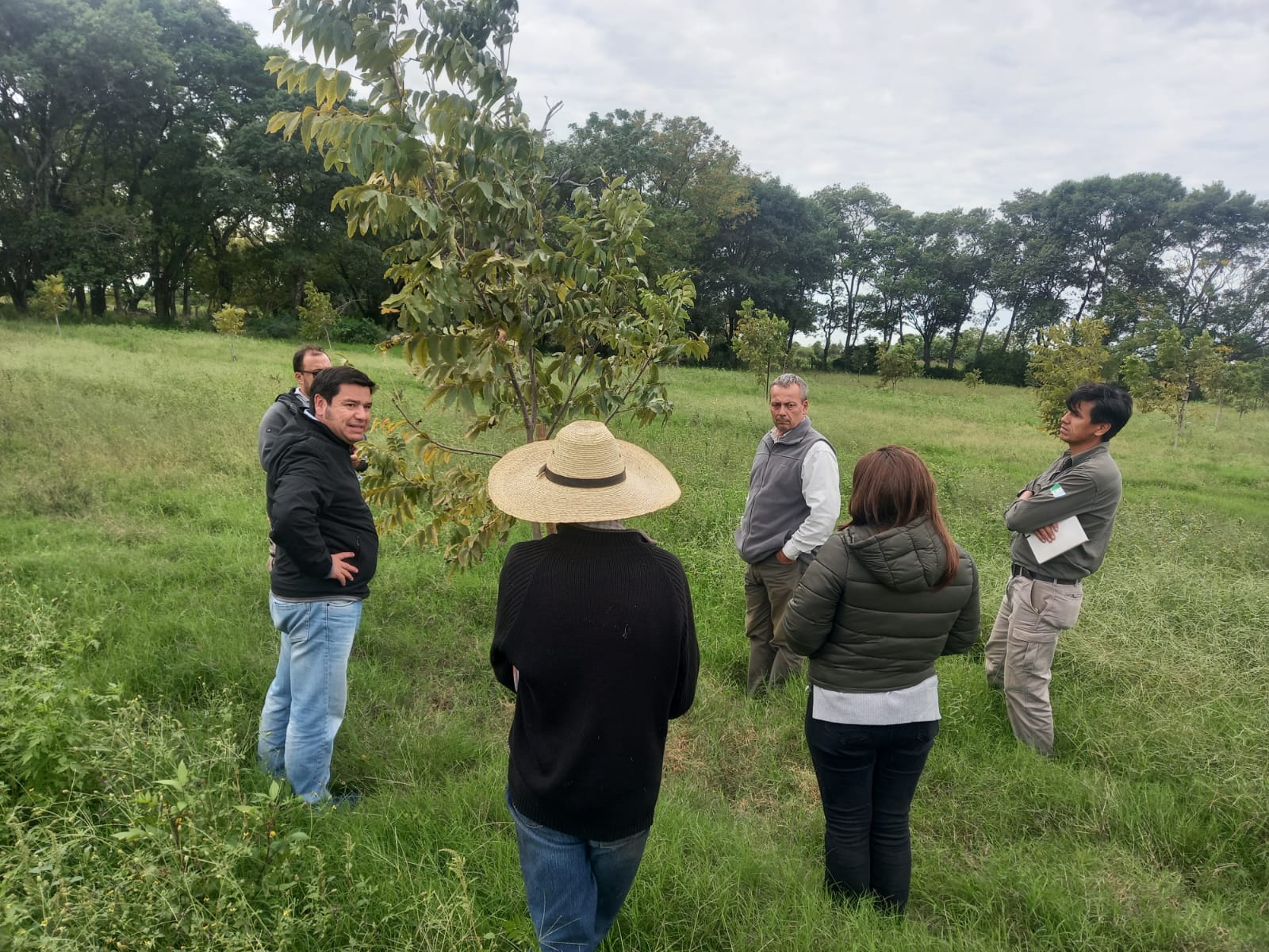 FUNCIONARIOS CHAQUEÑOS VISITARON PLANTACIONES DE TABACO Y NUEZ PECAN EN GOYA