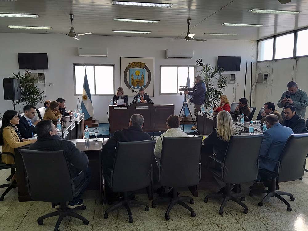 CONCEJO DELIBERANTE APOYO A PACIENTES ONCOPEDIATRICOS EN SU RECLAMO POR MEDICAMENTOS  Y ALIMENTOS