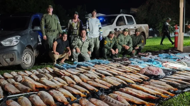 Corrientes: decomisaron 680 kilos de dorados y surubíes trasladados ilegalmente