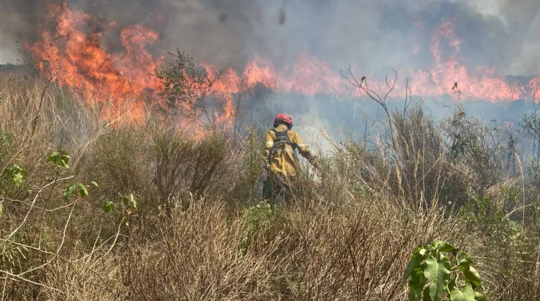 Corrientes: nueve dotaciones de bomberos combatieron un importante incendio en el acceso a El Paso