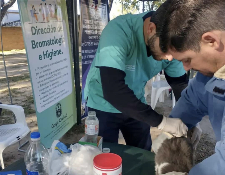 ESTE SÁBADO: VACUNACIÓN CANINA Y FELINA 