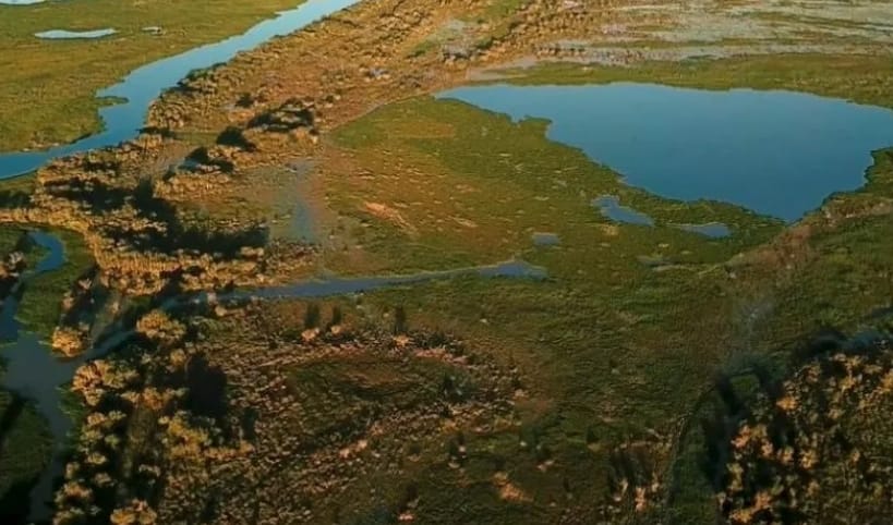 PROMULGACIÓN HISTÓRICA DE LA LEY "RESERVA NATURAL YSORÓ": UN AVANCE CRUCIAL PARA EL MEDIO AMBIENTE Y EL DESARROLLO SOSTENIBLE