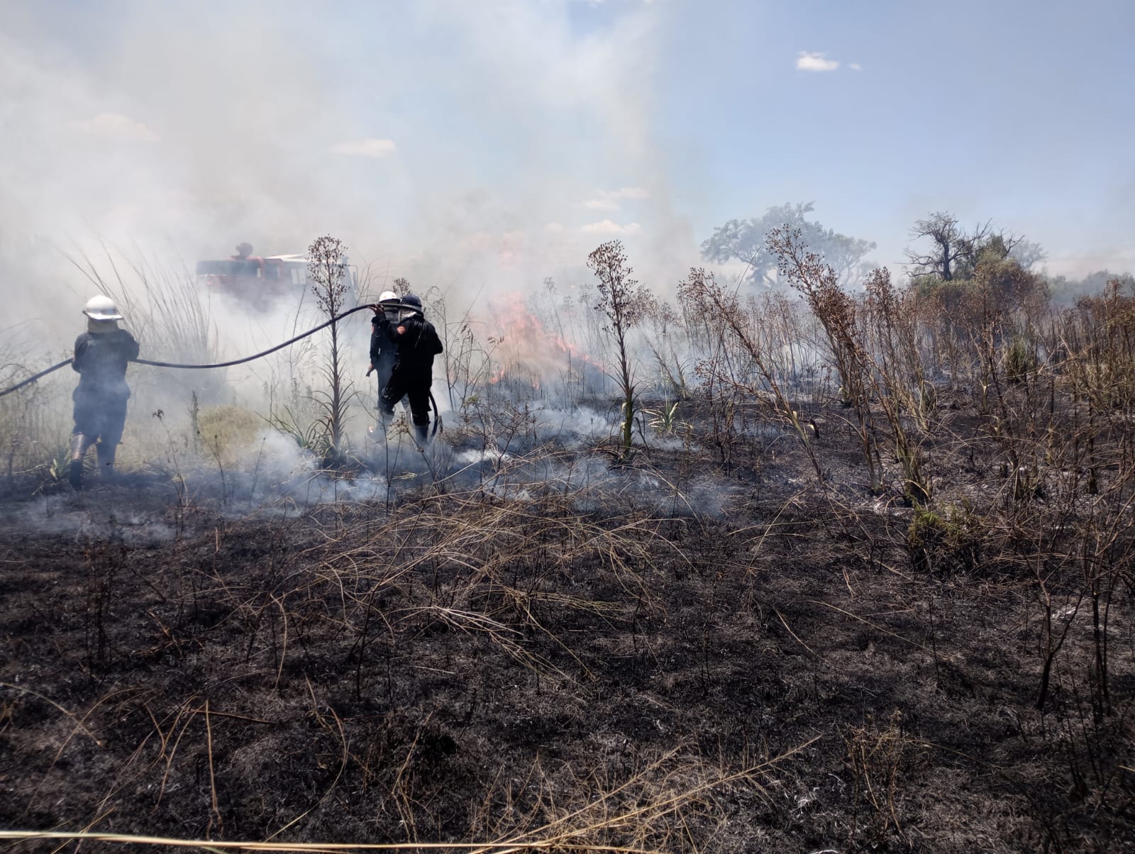 VORAZ INCENDIO DE CAMPOS Y PASTIZALES EN EL ACCESO SUR DE GOYA