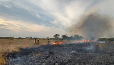 Incendios: hay 335.000 hectáreas afectadas en lo que va de enero