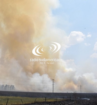 Graves pérdidas: Incendió quemó el 95% del campo del INTA Mercedes