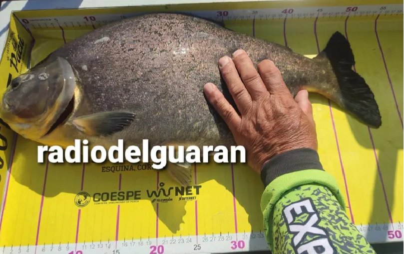 POLÉMICA EN EL PACÚ DE ESQUINA: ERROR EN LA FISCALIZACIÓN DE LA PIEZA MAYOR