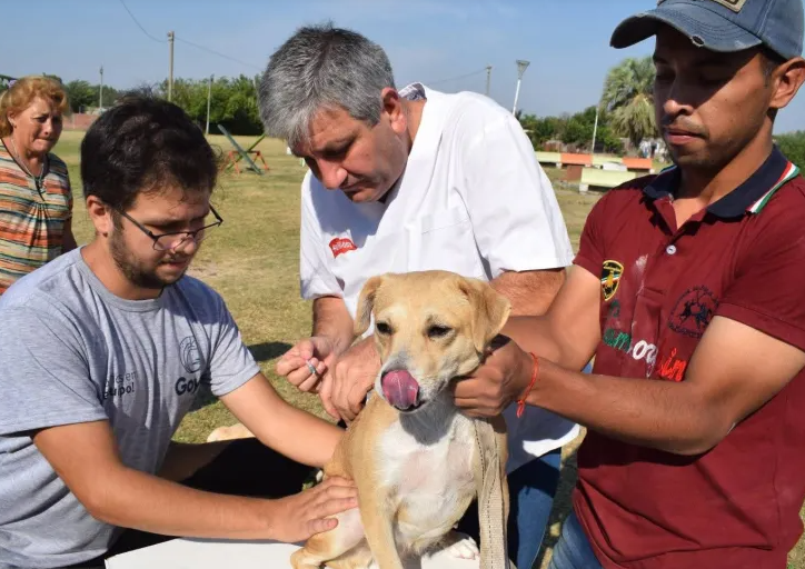 VACUNAR, CUIDAR Y RECOGER: LAS CLAVES DE LA TENENCIA RESPONSABLE SEGÚN PEDRO DEPIAGGIO