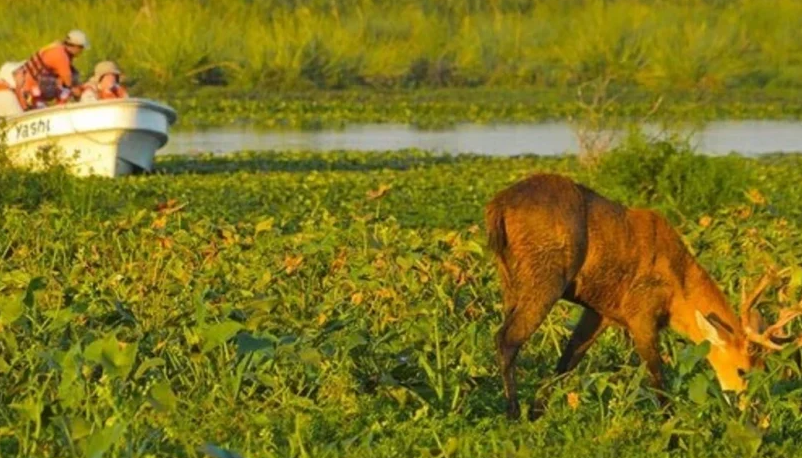 Más de cuatro décadas de conservación de nuestros recursos naturales.