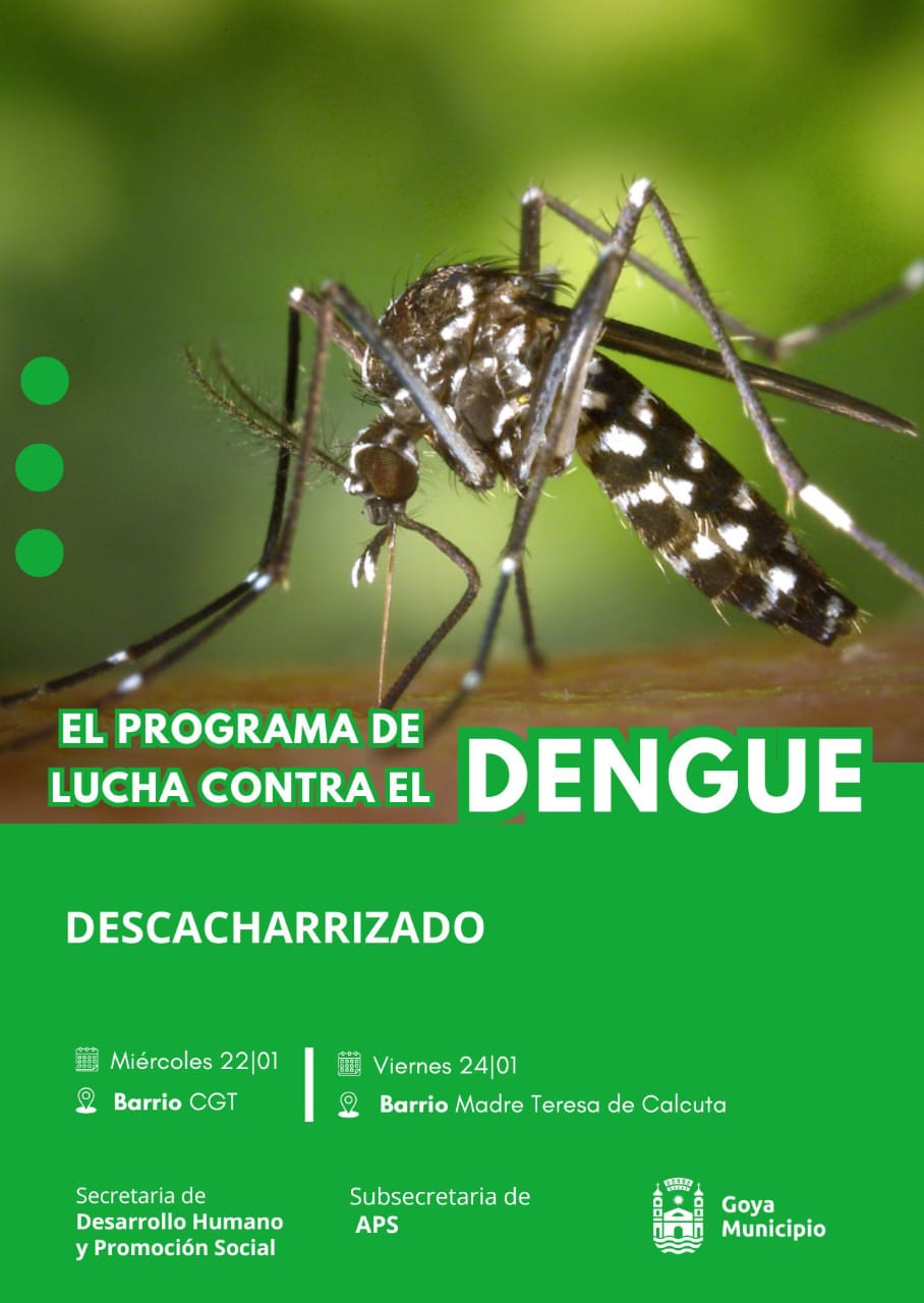 CAMPAÑA PREVENTIVA DENGUE