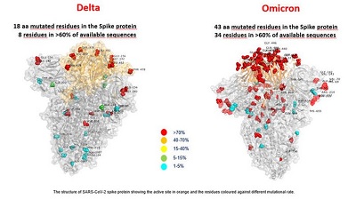 La OMS dijo que la variante Ómicron de coronavirus es un riesgo muy alto para el mundo
