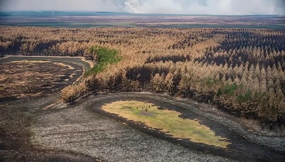 La chispa de un tractor habría originado el incendio en los Esteros del Iberá