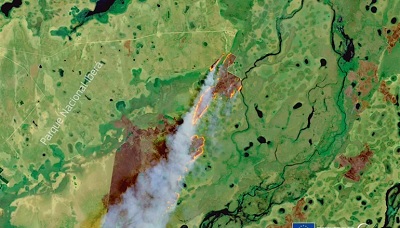 La mitad de los incendios se desatan en humedales