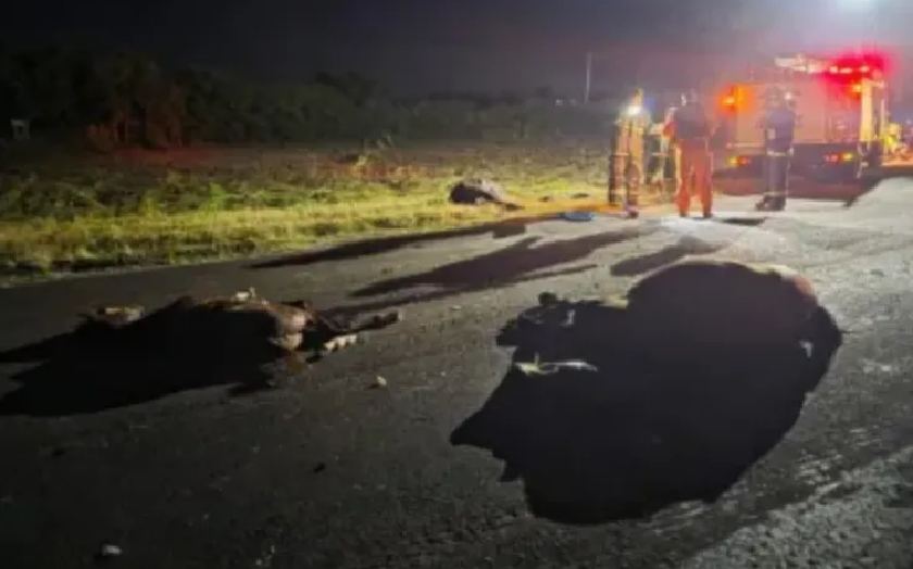 Tres mujeres terminaron heridas tras chocar contra caballos sueltos en la Ruta Provincial 27
