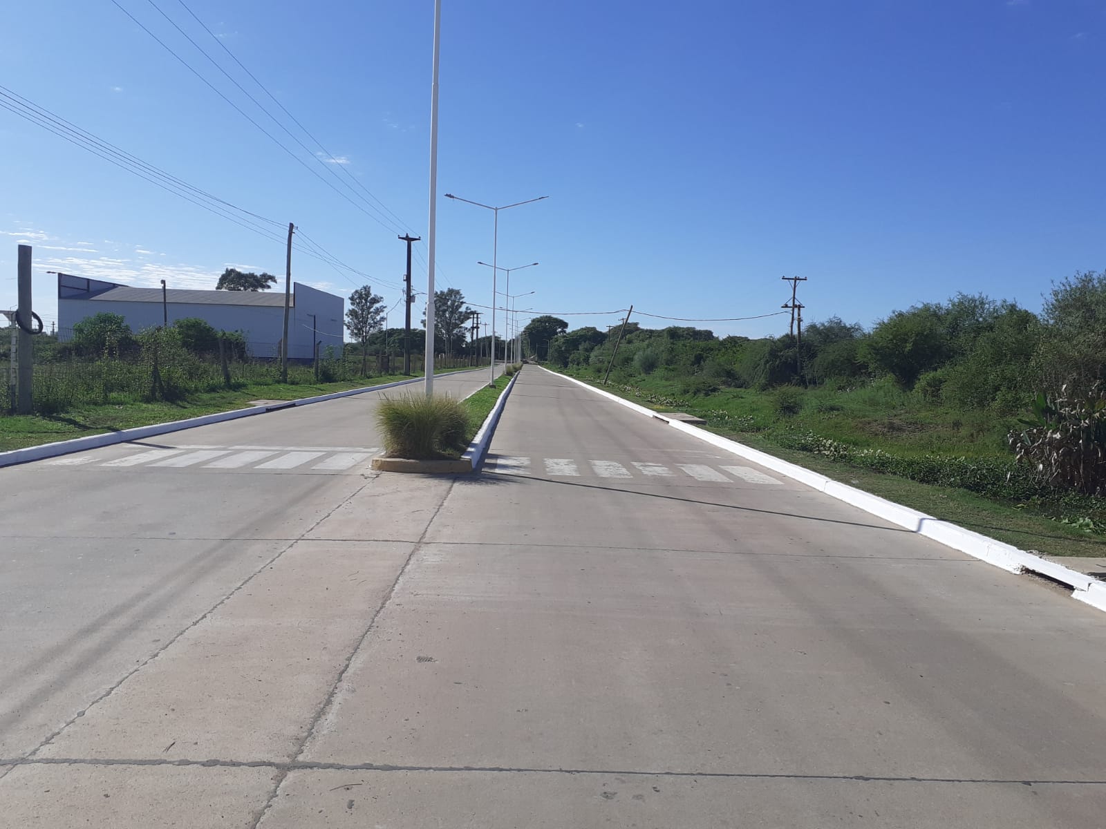 AVANZA EL TRABAJO DE PINTURA DE CORDÓN EN LA AVENIDA DÍAZ COLODRERO