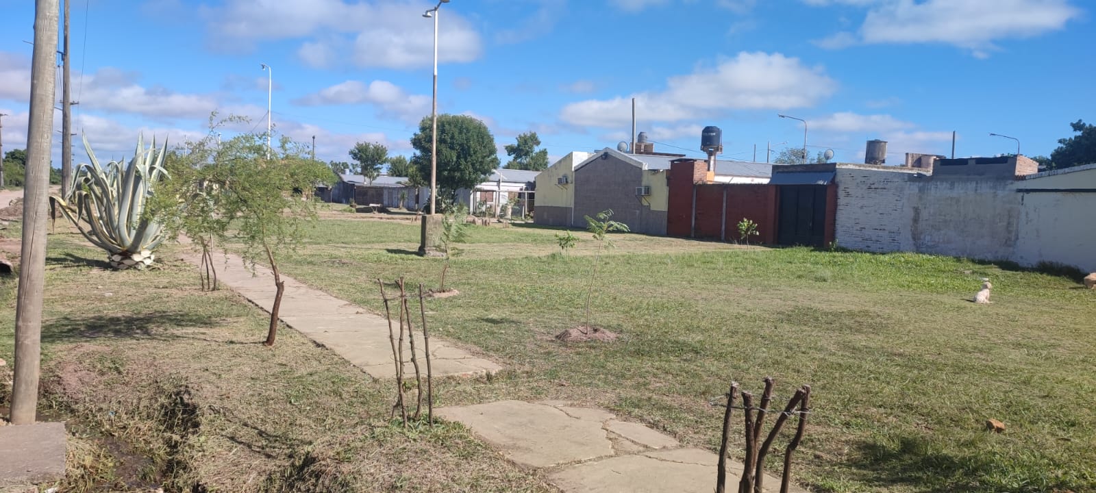 Barrio “Madre Teresa de Calcuta”:  PLAN ARBOLADO URBANO Y EMBELLECIMIENTO DE ESPACIOS VERDES