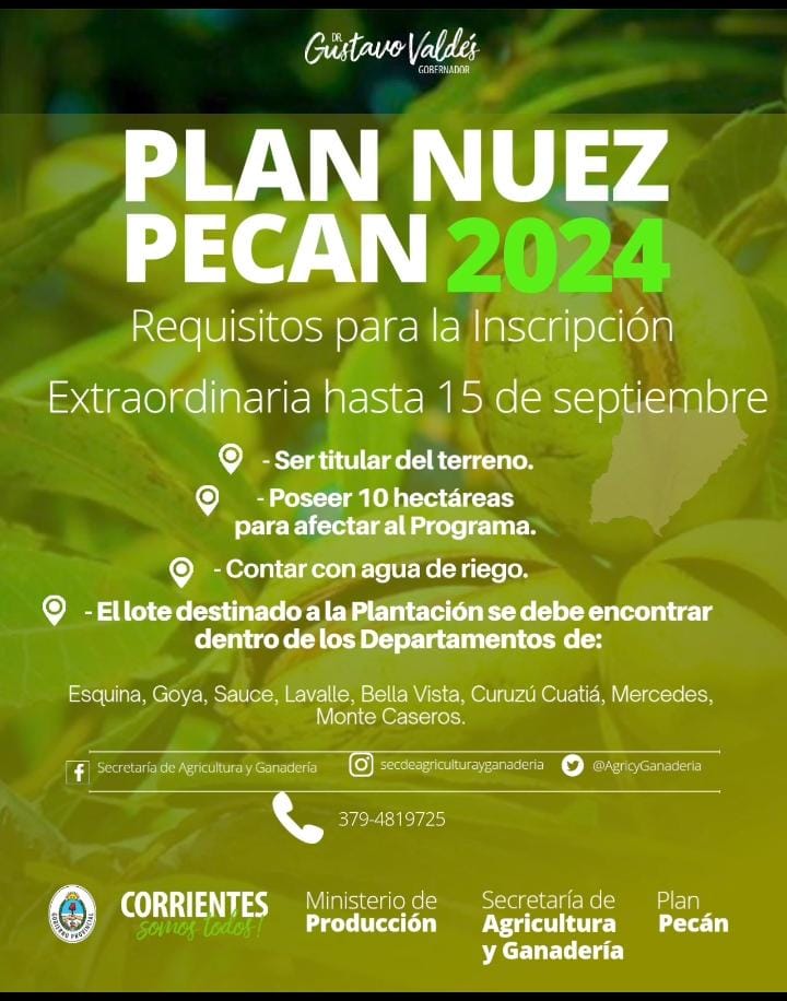 INSCRIPCIÓN EXTRAORDINARIA PARA EL PLAN PECAN