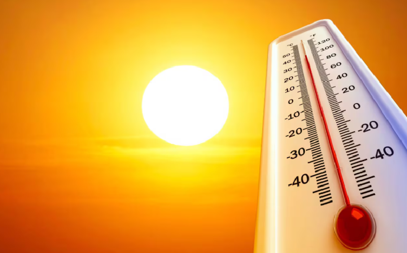 Ola de calor en Argentina: cómo ver las localidades más calurosas del país, en tiempo real