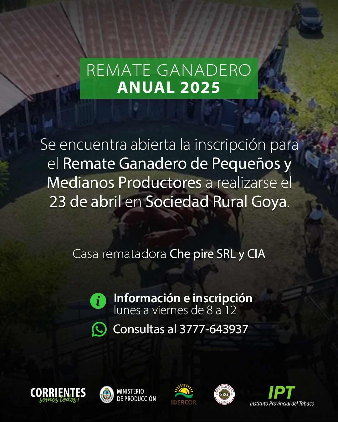 INSCRIBEN PARA EL REMATE GANADERO PARA PEQUEÑOS Y MEDIANOS PRODUCTORES