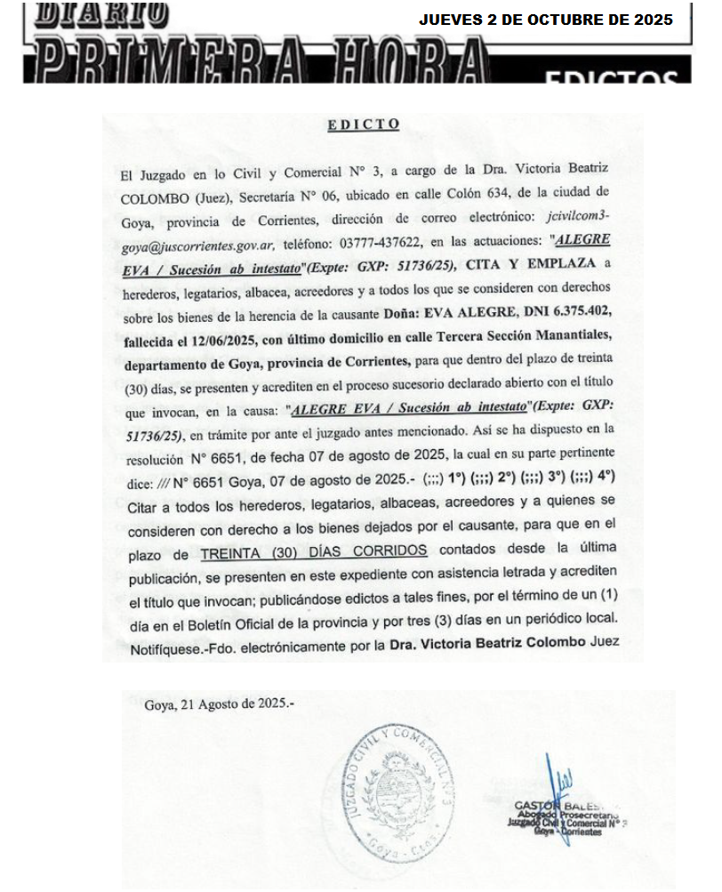 ROBERI DIA 3