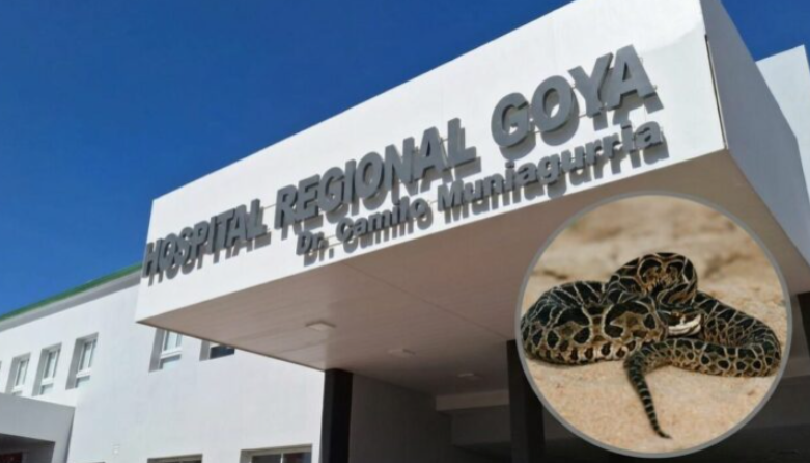 Goya: segundo ataque de yarará en una semana