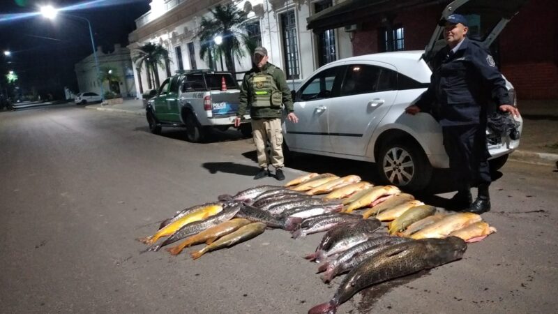  DETENIDOS POR INTENTAR PASAR POR EL CONTROL CON AUTO LLENO DE SURUBIES Y DORADOS