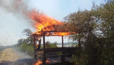 Se incendió otra reserva: trabajo de 8 horas para apagar el fuego y varios bomberos heridos