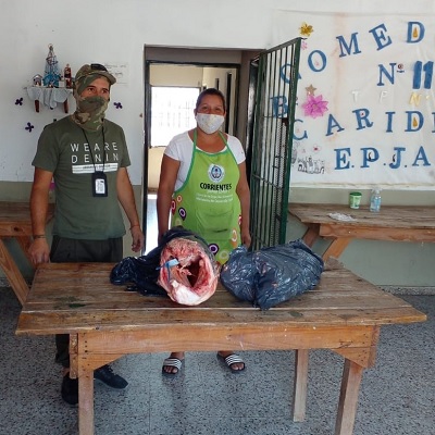 Secuestraron 600 kilos de pescado en allanamiento en capital