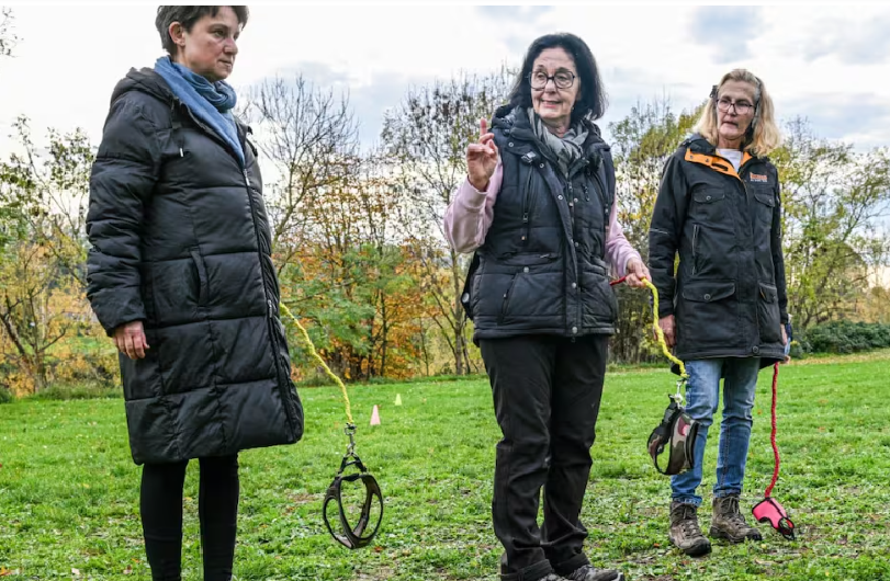 No son solo los “therians”: la nueva moda de pasear con perros imaginarios ya es un hecho