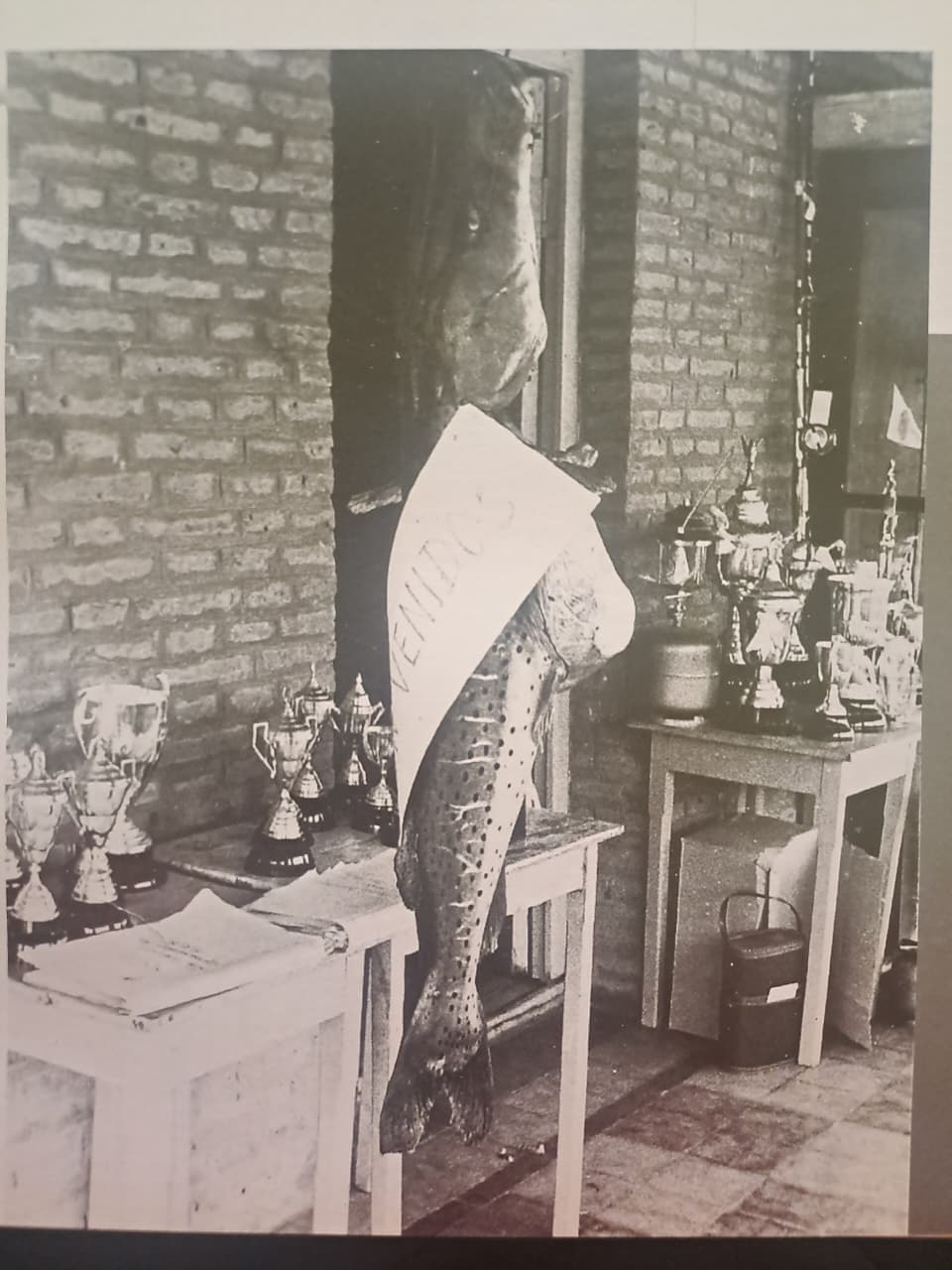 WhatsApp Image 2026 04 26 at 17.00.22