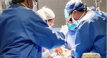 ablacion de organos en corrientes