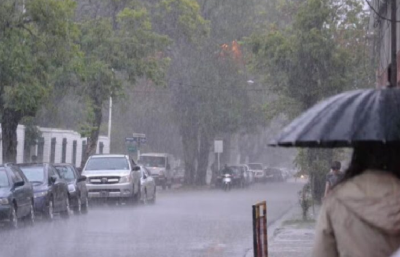 CORRIENTES CAPITAL: DATOS METEOROLÓGICOS DEL PRIMER MES DEL AÑO