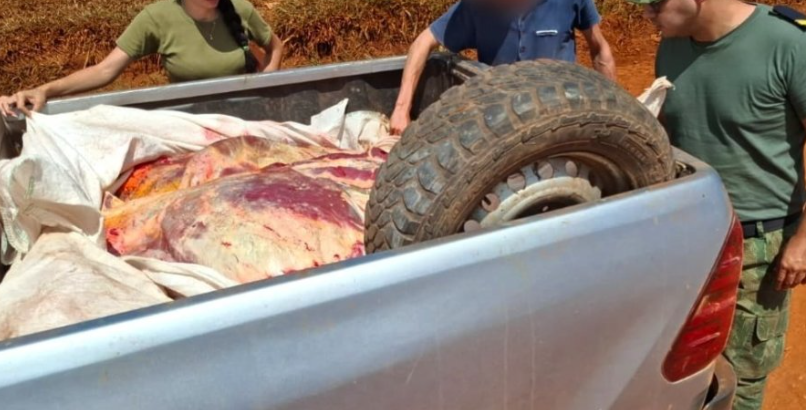 Gobernador Virasoro: secuestran una camioneta con 800 kilos de carne faenada clandestinamente