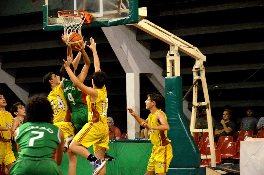 amad U15