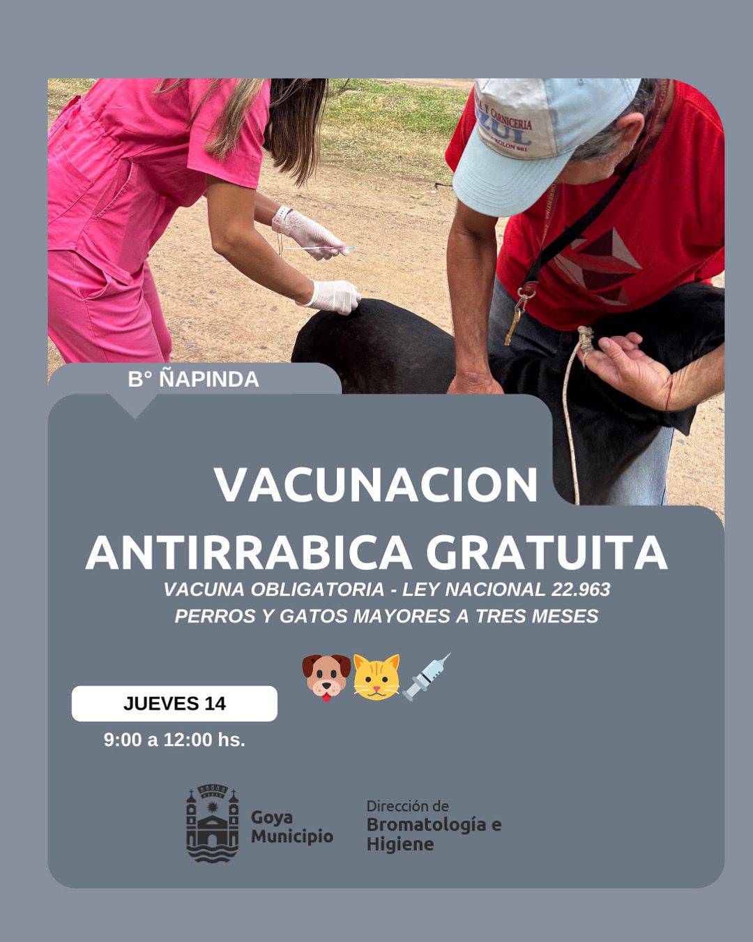 VACUNACIÓN ANTIRRÁBICA GRATUITA EN EL BARRIO ÑAPINDÁ: JORNADA DE CUIDADO ANIMAL ESTE JUEVES
