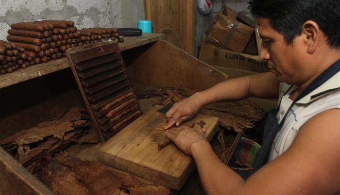 IMPULSO A LA TRADICIÓN TABACALERA: CAPACITACIÓN EN ARMADO DE CIGARROS Y PUROS EN GOYA
