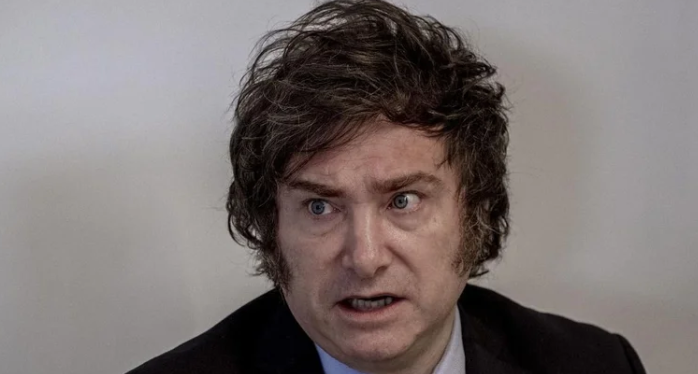Encuesta 2024: la mayoría de los votantes de Javier Milei no están de acuerdo con sus posiciones sobre la universidad pública