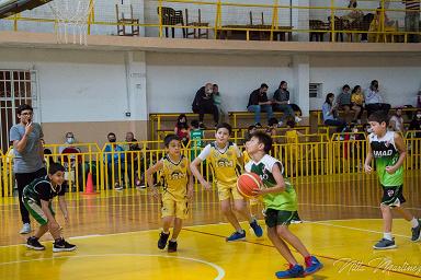 basquet_infantil1.JPG