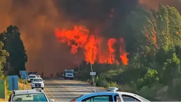 El nuevo Subsecretario de Ambiente reconoció que el Gobierno falló en la prevención de incendios