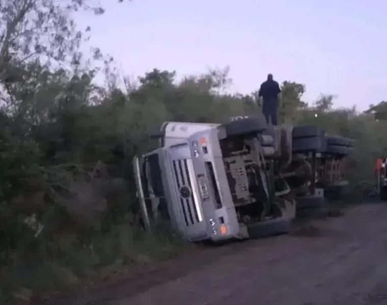 BELLA VISTA: volcó un camión con ganado y murieron 38 terneros