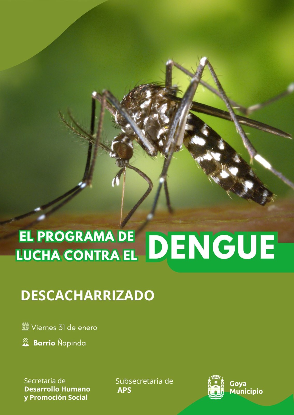 PROGRAMA DE LUCHA CONTRA EL DENGUE